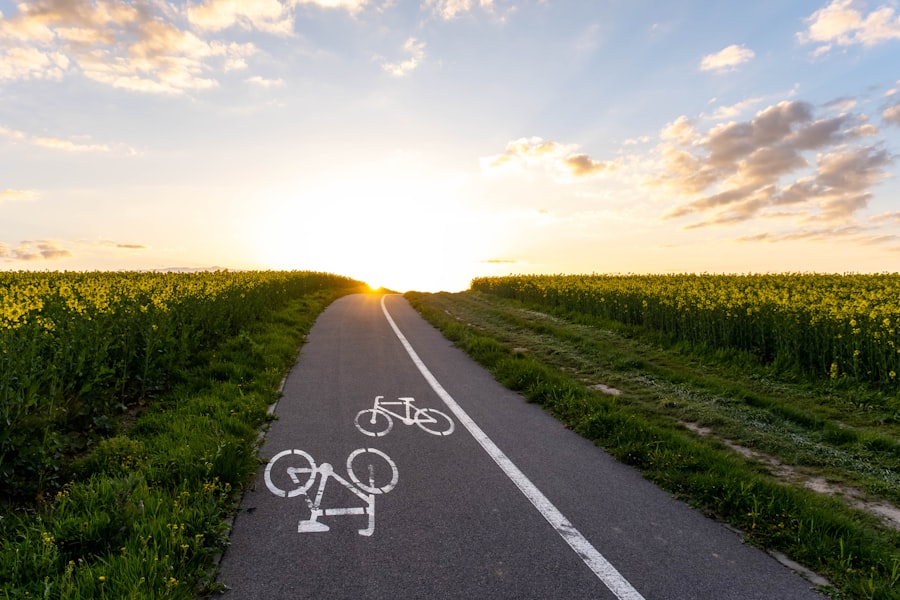 Bicycle lanes